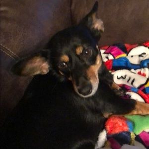 Meet your Posher, Kimberly